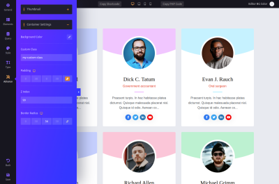 Advance Container Styling - WPS Team Plugin