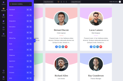 Elements Visibility - Show/Hide Information - WPS Team Plugin