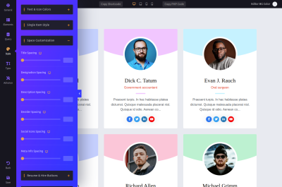Internal Space Customization - WordPress Team Plugin