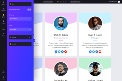 Team Query Settings - WordPress Team Plugin