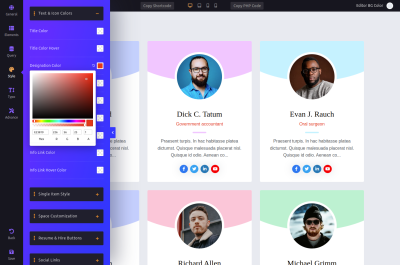 Shortcode Style Customization - WordPress Team Plugin