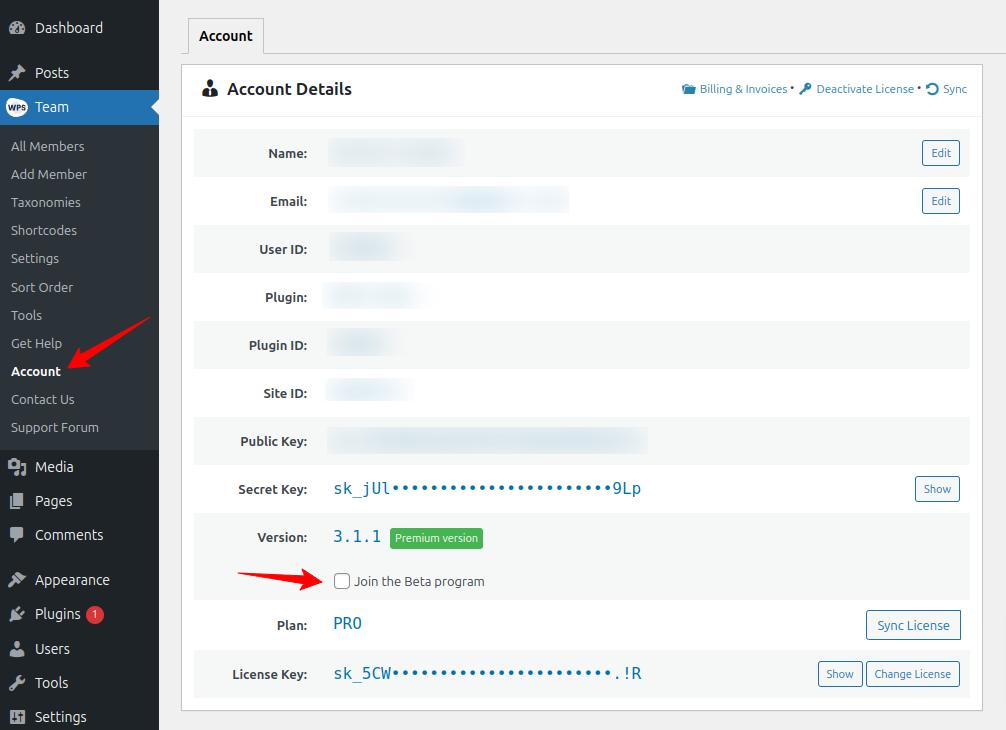 How to Enable Beta Updates for WPS Team Plugin