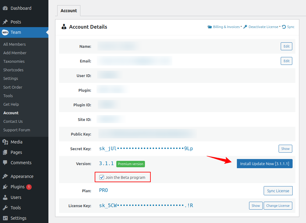How to Enable Beta Updates for WPS Team Plugin